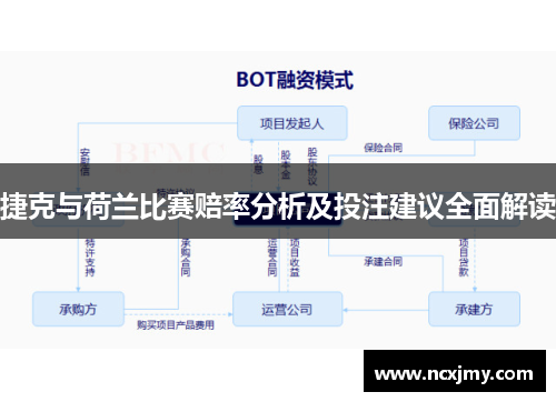 捷克与荷兰比赛赔率分析及投注建议全面解读
